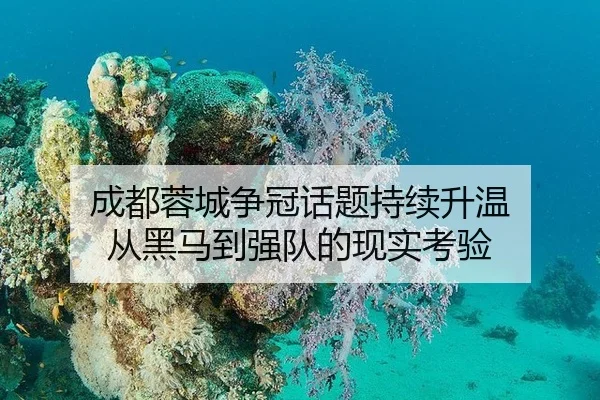 成都蓉城争冠话题持续升温 从黑马到强队的现实考验（leyu）